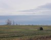 721072 Range Road 53, Rural Grande Prairie No. 1, County of, Alberta T8X0N5, ,Land,For Sale,Range Road 53,A2190497