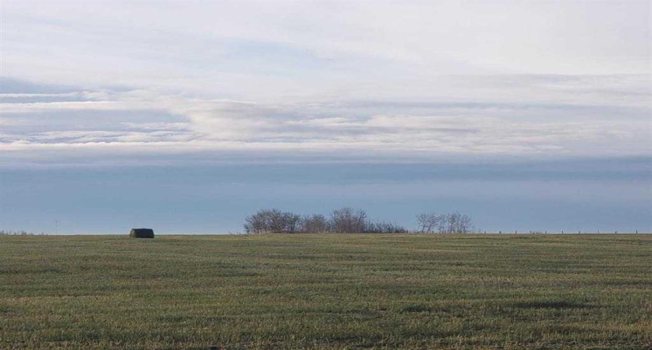 721072 Range Road 53, Rural Grande Prairie No. 1, County of, Alberta T8X0N5, ,Land,For Sale,Range Road 53,A2190497