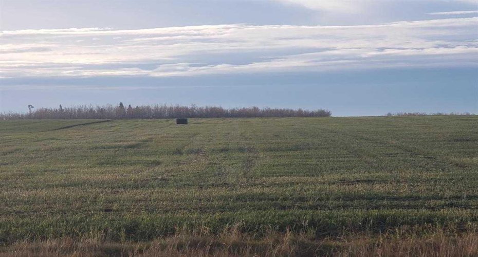 721072 Range Road 53, Rural Grande Prairie No. 1, County of, Alberta T8X 0N5, ,Commercial,For Sale,Range Road 53,A2190647