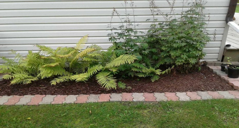 122, 15249 Twp Rd 665 A, Rural Lac La Biche County, Alberta T0A 2C0, 2 Bedrooms Bedrooms, ,1 BathroomBathrooms,Residential,For Sale,Twp Rd 665 A,A2190743