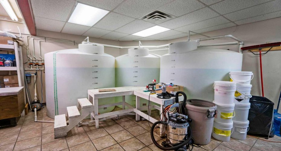 4726 65 Street, Camrose, Alberta T4V 4L4, ,Commercial,For Sale,65,A2153958