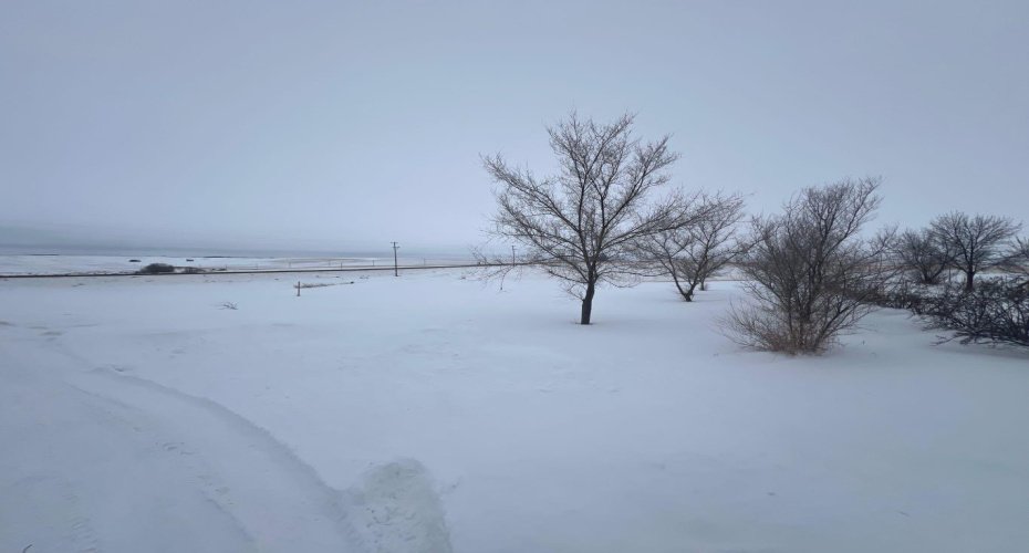 103 3 Street, Munson, Alberta T0J2C0, ,Land,For Sale,3,A2191304