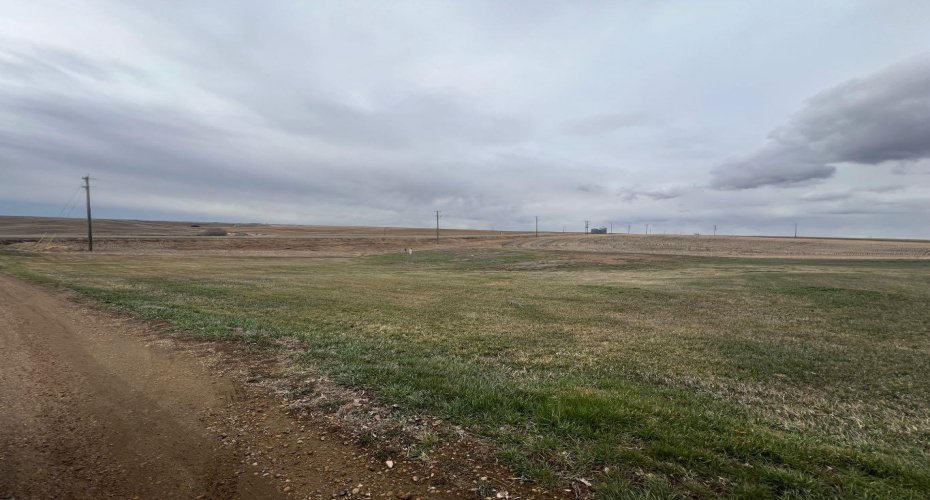 103 3 Street, Munson, Alberta T0J2C0, ,Land,For Sale,3,A2191304