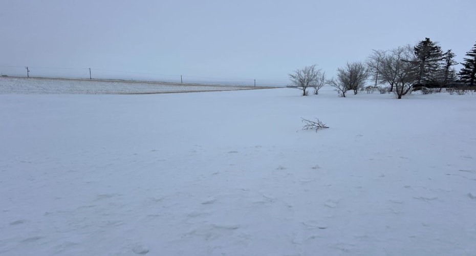 103 3 Street, Munson, Alberta T0J2C0, ,Land,For Sale,3,A2191304