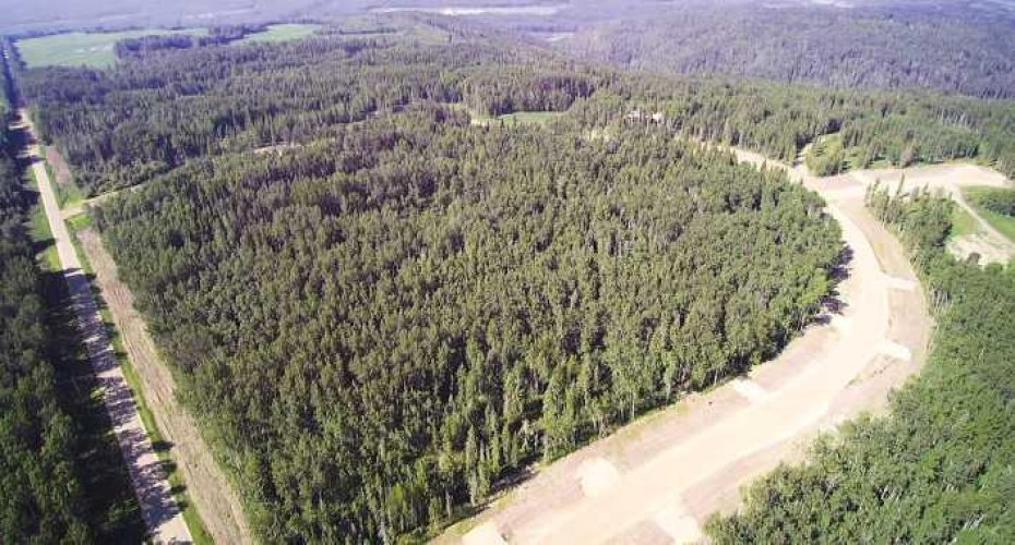 704016 Range Road 70, Rural Grande Prairie No. 1, County of, Alberta T0H 3V0, ,Land,For Sale,Range Road 70,A2099441