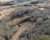 502051 Rge. Rd. 25, Rural Vermilion River, County of, Alberta T0B 2P0, ,Land,For Sale,Rge. Rd. 25,A2194581