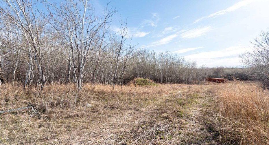 502051 Rge. Rd. 25, Rural Vermilion River, County of, Alberta T0B 2P0, ,Land,For Sale,Rge. Rd. 25,A2194581