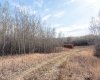 502051 Rge. Rd. 25, Rural Vermilion River, County of, Alberta T0B 2P0, ,Land,For Sale,Rge. Rd. 25,A2194581