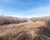 502051 Rge. Rd. 25, Rural Vermilion River, County of, Alberta T0B 2P0, ,Land,For Sale,Rge. Rd. 25,A2194581