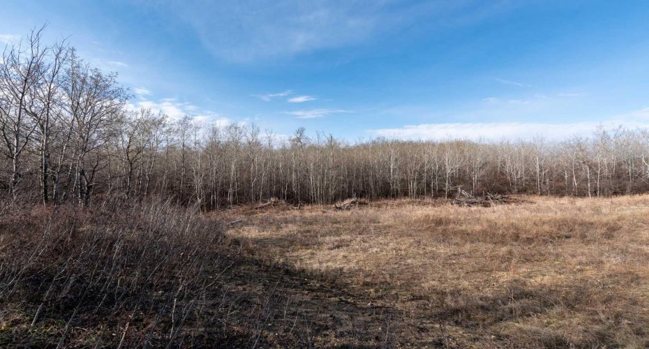 502051 Rge. Rd. 25, Rural Vermilion River, County of, Alberta T0B 2P0, ,Land,For Sale,Rge. Rd. 25,A2194581