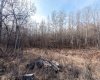 502051 Rge. Rd. 25, Rural Vermilion River, County of, Alberta T0B 2P0, ,Land,For Sale,Rge. Rd. 25,A2194581