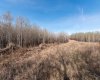 502051 Rge. Rd. 25, Rural Vermilion River, County of, Alberta T0B 2P0, ,Land,For Sale,Rge. Rd. 25,A2194581