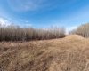 502051 Rge. Rd. 25, Rural Vermilion River, County of, Alberta T0B 2P0, ,Land,For Sale,Rge. Rd. 25,A2194581