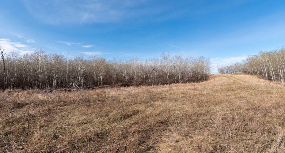 502051 Rge. Rd. 25, Rural Vermilion River, County of, Alberta T0B 2P0, ,Land,For Sale,Rge. Rd. 25,A2194581
