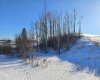 309 Wolf Run Drive, Rural Ponoka County, Alberta T4J 0B3, ,Land,For Sale,Wolf Run,A2194603