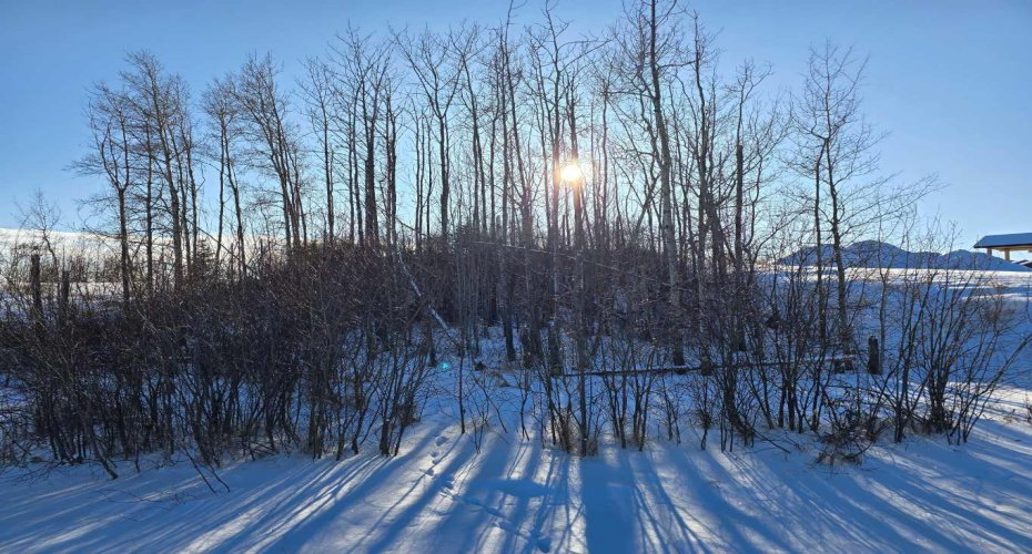 309 Wolf Run Drive, Rural Ponoka County, Alberta T4J 0B3, ,Land,For Sale,Wolf Run,A2194603