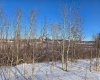 309 Wolf Run Drive, Rural Ponoka County, Alberta T4J 0B3, ,Land,For Sale,Wolf Run,A2194603