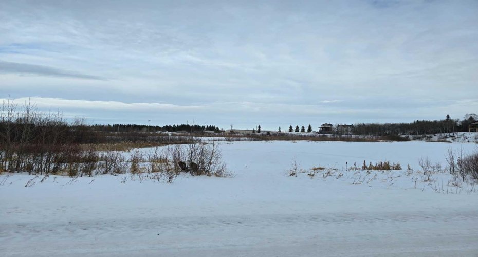 309 Wolf Run Drive, Rural Ponoka County, Alberta T4J 0B3, ,Land,For Sale,Wolf Run,A2194603