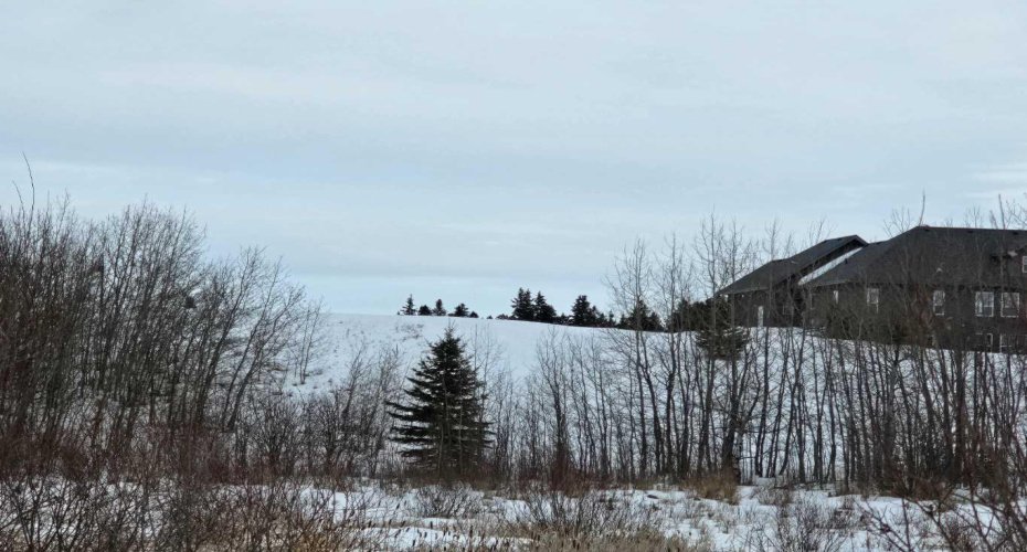 309 Wolf Run Drive, Rural Ponoka County, Alberta T4J 0B3, ,Land,For Sale,Wolf Run,A2194603