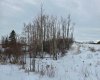 309 Wolf Run Drive, Rural Ponoka County, Alberta T4J 0B3, ,Land,For Sale,Wolf Run,A2194603