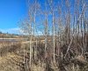 309 Wolf Run Drive, Rural Ponoka County, Alberta T4J 0B3, ,Land,For Sale,Wolf Run,A2194603