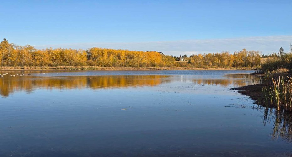 309 Wolf Run Drive, Rural Ponoka County, Alberta T4J 0B3, ,Land,For Sale,Wolf Run,A2194603