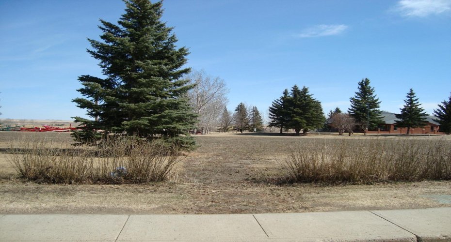 207, 209 Main Street, Trochu, Alberta T0M 2C0, ,Land,For Sale,Main,A1094293