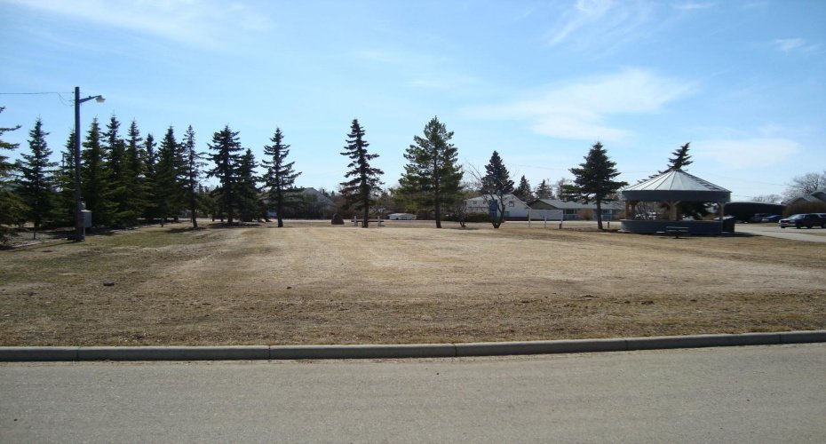 207, 209 Main Street, Trochu, Alberta T0M 2C0, ,Land,For Sale,Main,A1094293