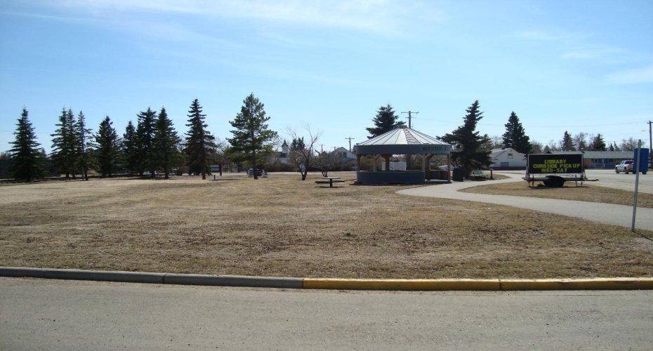 207, 209 Main Street, Trochu, Alberta T0M 2C0, ,Land,For Sale,Main,A1094293