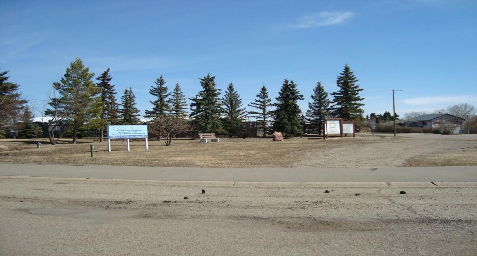 207, 209 Main Street, Trochu, Alberta T0M 2C0, ,Land,For Sale,Main,A1094293