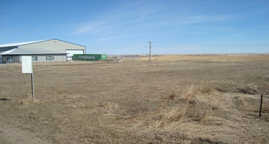 207, 209 Main Street, Trochu, Alberta T0M 2C0, ,Land,For Sale,Main,A1094293