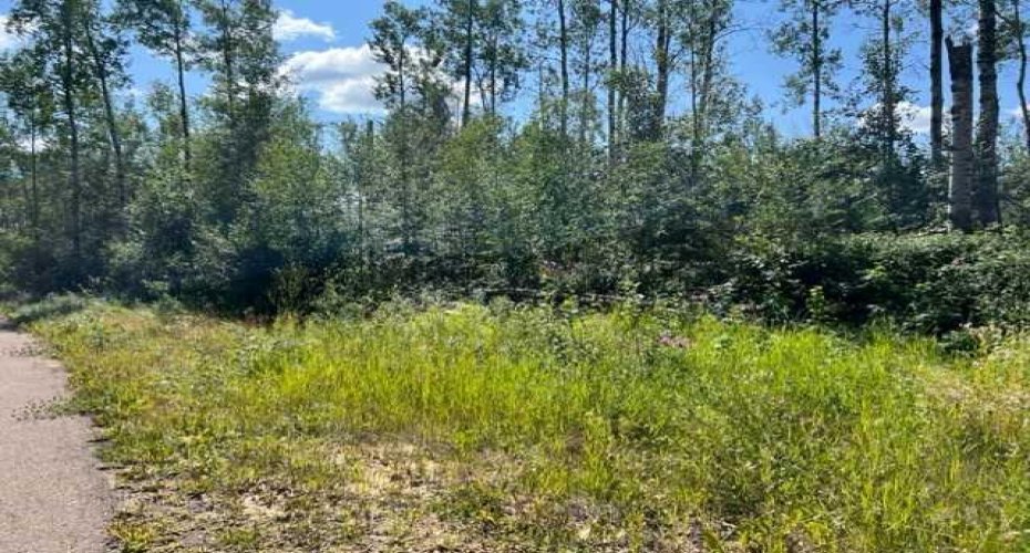 146 Poplar Drive Rr, Conklin, Alberta T0P 1H1, ,Land,For Sale,Poplar Drive Rr,A2194373