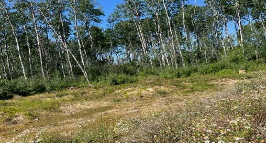 146 Poplar Drive Rr, Conklin, Alberta T0P 1H1, ,Land,For Sale,Poplar Drive Rr,A2194373