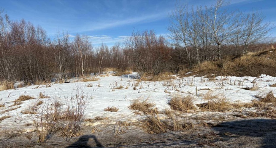 816 Misstassiniy Road, Wabasca, Alberta T0G 2K0, ,Land,For Sale,Misstassiniy,A2197799