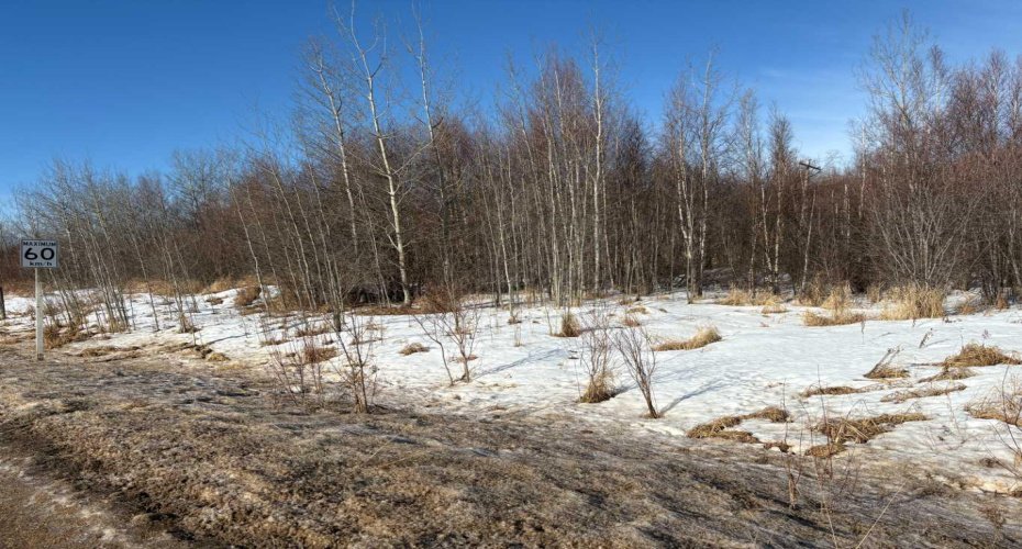 816 Misstassiniy Road, Wabasca, Alberta T0G 2K0, ,Land,For Sale,Misstassiniy,A2197799