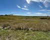 Hwy 9 RR 19-5A, Rural Starland County, Alberta T0J 2B0, ,Land,For Sale,RR 19-5A,A2197873