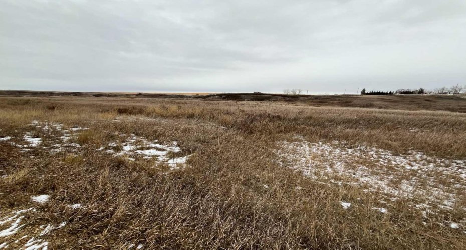 Hwy 9 RR 19-5A, Rural Starland County, Alberta T0J 2B0, ,Land,For Sale,RR 19-5A,A2197873