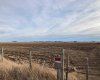 NE-33-6-20-4 Warner County, Raymond, Alberta T0K 2S0, ,Agri-business,For Sale,Warner County,A2190829