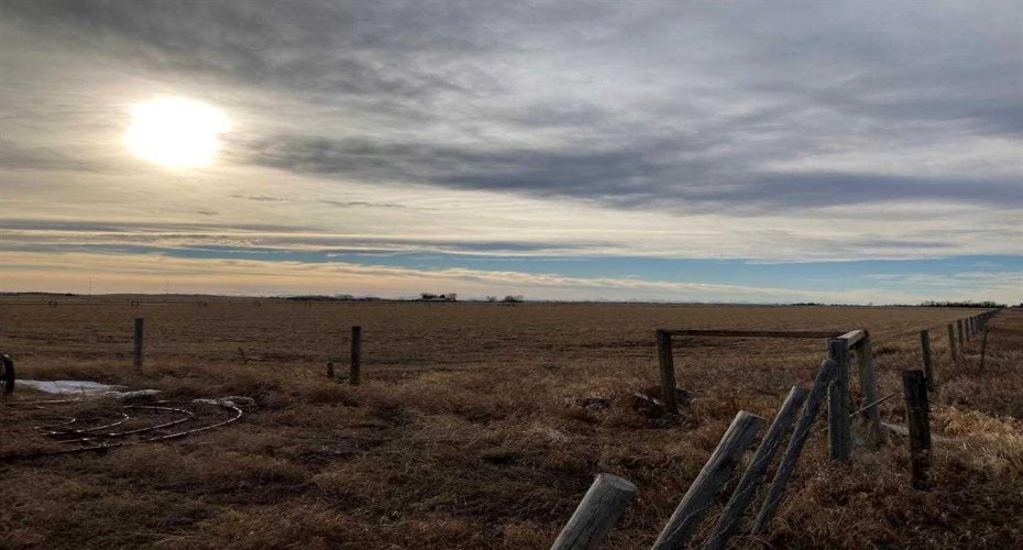 NE-33-6-20-4 Warner County, Raymond, Alberta T0K 2S0, ,Agri-business,For Sale,Warner County,A2190829