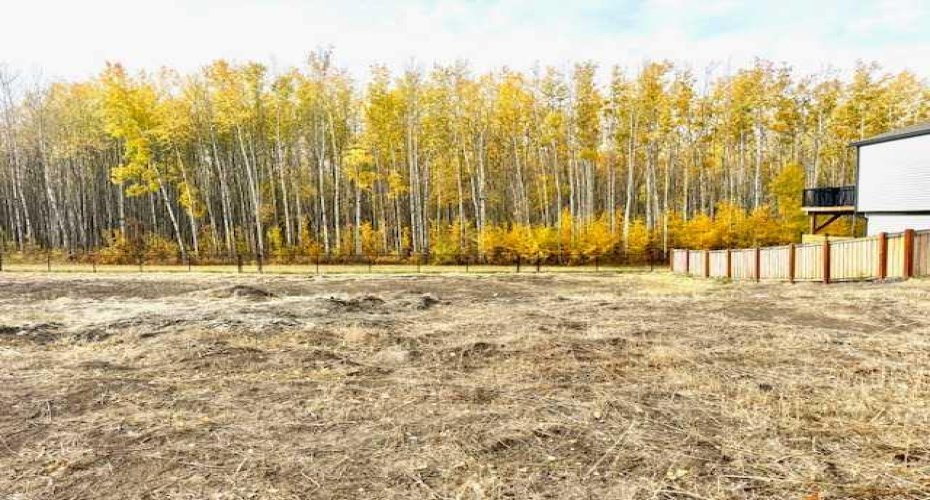 8206 121 Street, Grande Prairie, Alberta T8W0M7, ,Land,For Sale,121,A2199910